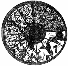 Twine Grain Counting Reticle KR-808A