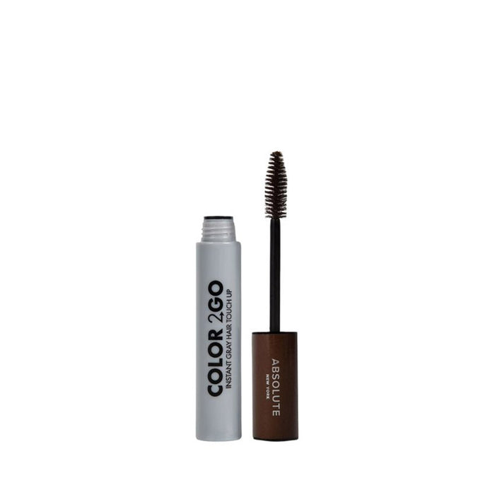 Absolute New York Color 2 GO instant gray hair touch up wand with brush applicator for roots