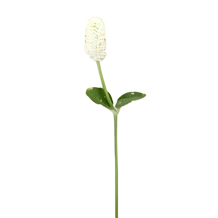 White Gomphrena Wedding Flowers