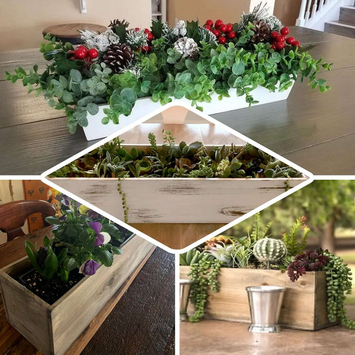 Assorted decorative planter boxes with various plants and flowers.